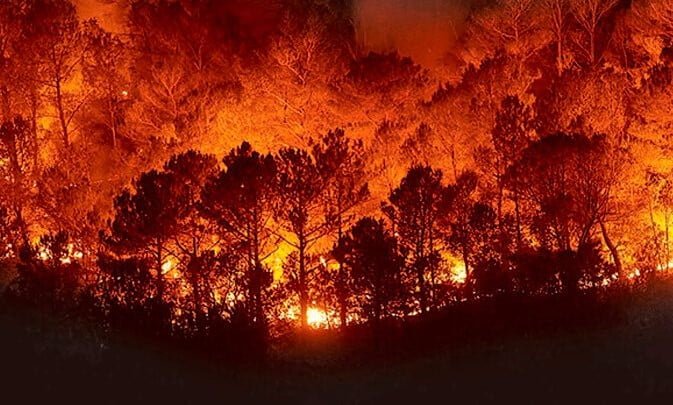Colombia – Proyecto de Ley sobre prevención de incendios forestales