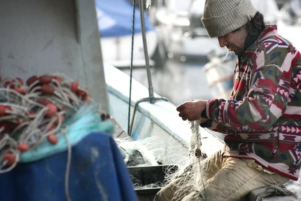 Más de la mitad de los pesqueros europeos incumplen la normativa